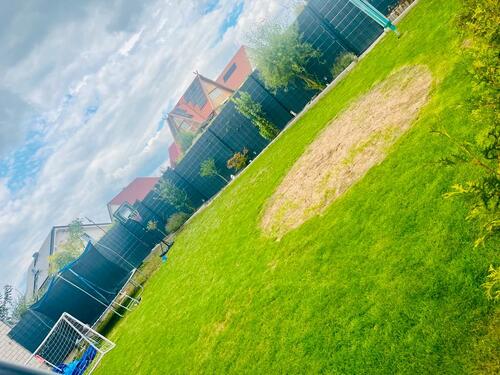 Foto - Einfamilienhaus zum Kaufen in Bechtolsheim