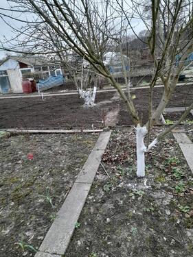 Foto - Grundstück in Eberswalde