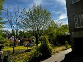 Foto - Hochparterre in Zeuthen zur Miete