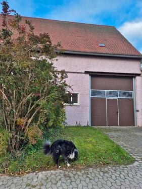 Foto - andere zur Miete in Dietenhofen