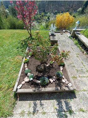 Foto - 2 Zimmer Terrassenwohnung in Stuttgart