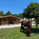 Foto - Ferienhäuser in Vejer de la Frontera – Entspannung pur!