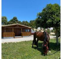Ferienhäuser in Vejer de la Frontera – Entspannung pur! - Vöhringen