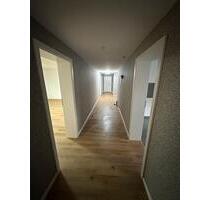 Kellerwohnung 4 Zimmer 128 qm - 850,00 EUR Kaltmiete, in Peine (PLZ: 31226) Südstadt