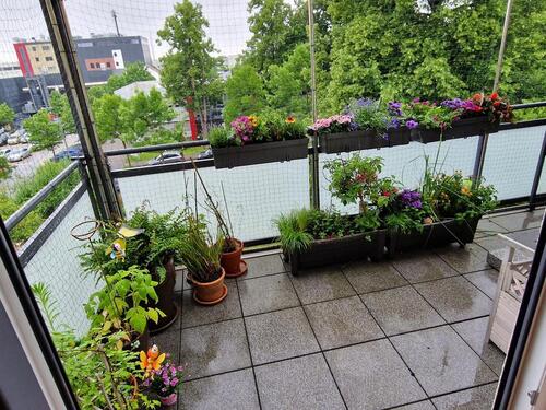 Foto - 4,5 Zimmer Wohnung in ruhiger Lager, Barierefrei