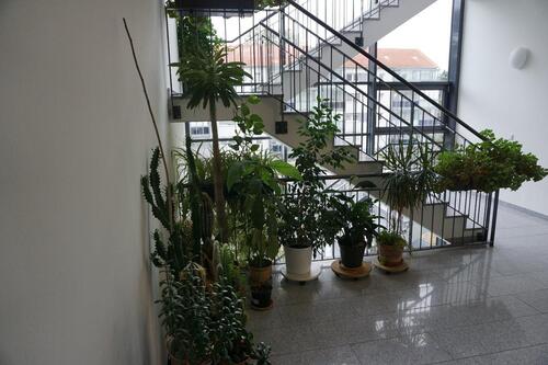 Foto - 4.5 Zimmer Etagenwohnung in Frankfurt am Main