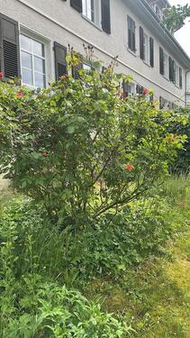 Foto - 4-Zimmer-Wohnung mit 105 m² HDH