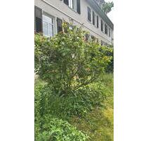 4-Zimmer-Wohnung mit 105 m² HDH - Heidenheim an der Brenz