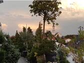 Foto - Einfamilienhaus in Gaimersheim zum Kaufen