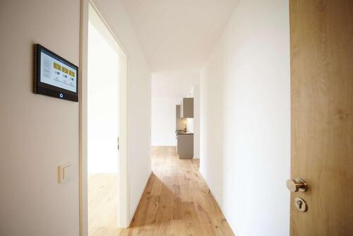 Foto - Etagenwohnung zur Miete in Köln