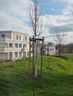 Foto - 3 Zimmer Erdgeschoss Wohnung mit Garten