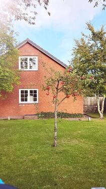 Foto - EFH in Ohrstedt mit Anbau Vollkeller