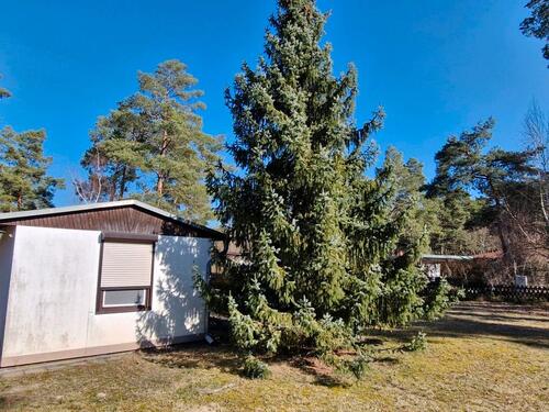 Foto - 2 Zimmer Bungalow zum Kaufen in Schönebeck (Elbe)