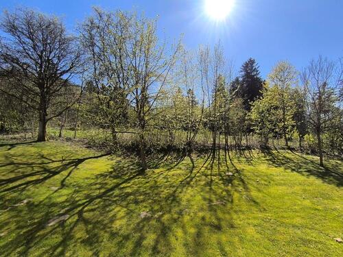 Foto - 2 Zimmer Hochparterre in Clausthal-Zellerfeld
