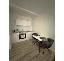 30 qm 1-Zimmer Luxusapartment Obermenzing renoviert - Starnberg