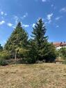 Foto - Bungalow in Neunkirchen zum Kaufen