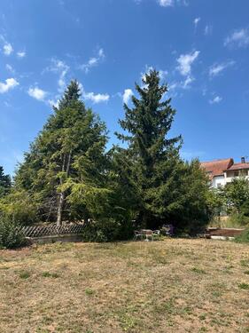 Foto - Bungalow in Neunkirchen zum Kaufen