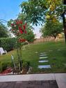 Foto - Garten zu Vermieten - 15,00 EUR Kaltmiete, ca.  0,00 m²
