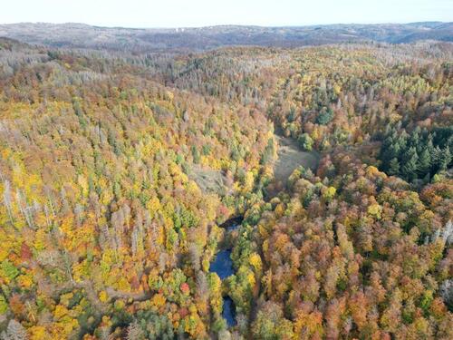 Foto - Garagen, Büroraum, Lagerhalle und Lagerfläche in Bad Sachsa