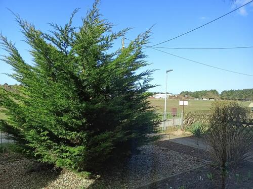 Foto - 