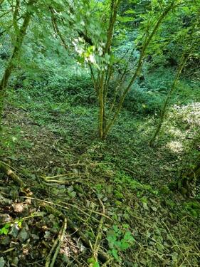 Foto - Grundstück in Bruttig-Fankel zur Miete