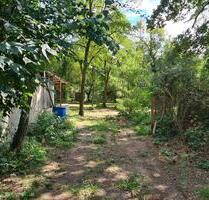 Gartengrundstück- Freizeitgrundstück in Seeheim-Jugenheim