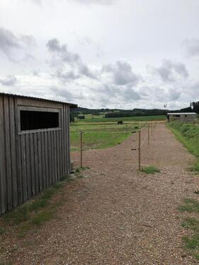 Foto - 1.5 Zimmer Erdgeschoßwohnung zur Miete in Wain