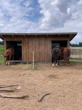 Foto - 1.5 Zimmer Erdgeschoßwohnung in Wain