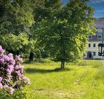 Mietwohnung 3-Raum im Schloss See mit privater Parkanlage - Niesky