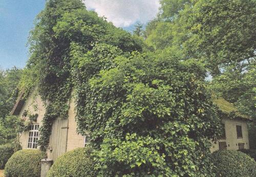 Foto - 4 Zimmer Bauernhaus, Landhaus zum Kaufen in Tarmstedt