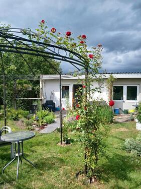 Foto - Kleingarten in Rostock Brinckmansdorf