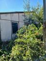 Foto - Einfamilienhaus zum Kaufen in Lanitz-Hassel-Tal