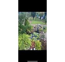 Kleingarten in Wriezen- mit Fischteich