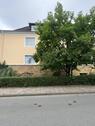Foto - Etagenwohnung zur Miete in Osnabrück