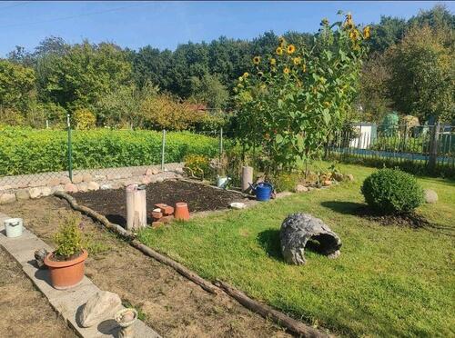 Foto - Grundstück zur Miete in Süderbrarup