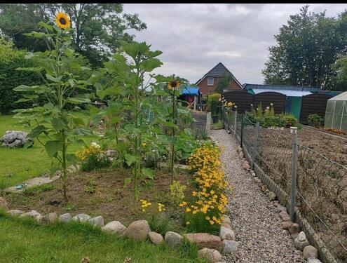 Foto - Grundstück in Süderbrarup