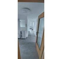 2-Zimmer DG Wohnung mit EBK Erstbezug nach Kernsanierung - Böhmenkirch