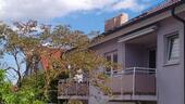 Foto - 2.5 Zimmer Dachgeschoßwohnung in Böblingen