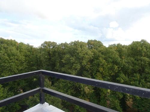 Foto - 2 Zimmer Etagenwohnung in Plön