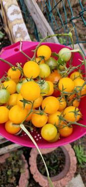 Foto - Grundstück zur Miete in Wolfenbüttel