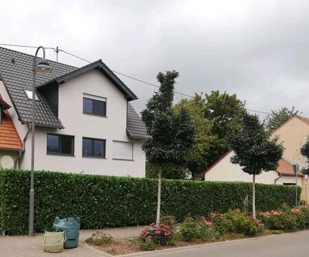 Foto - Appartement-Wohnung in Bitburg-Mötsch