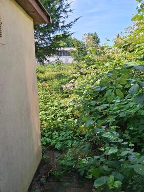 Foto - andere zur Miete in Gelsenkirchen