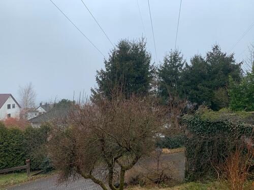 Foto - 3 Zimmer Etagenwohnung zur Miete in Friedrichsthal