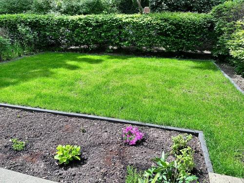 Foto - 3 Zimmer Erdgeschoßwohnung zur Miete in Berlin