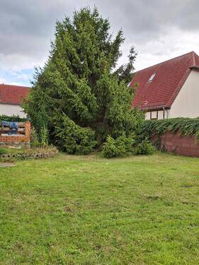 Foto - Einfamilienhaus in Eilenburg zum Kaufen