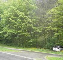 1 ha Wald, 60 jähr. Fichten, Thannhausen, Augsburger Straße - Krumbach (Schwaben)
