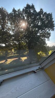 Foto - Etagenwohnung in Visselhövede zur Miete