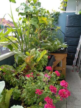 Foto - 3 Zimmer Etagenwohnung zum Kaufen in Ludwigshafen am Rhein