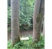 Waldbaden-deluxe am Epscheider Bachufer - Hagen Dahl