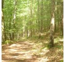 Waldflächen Nürnberger Land - 6,00 EUR Kaltmiete, ca.  0,00 m² in Pommelsbrunn (PLZ: 91224)
